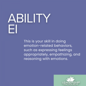 ability ei description